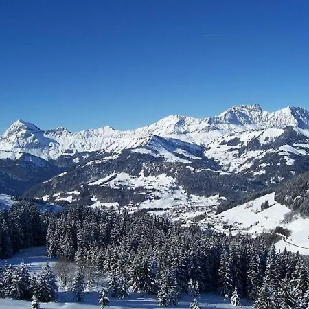 Chaleureux Pres Des Pistes Avec Parking Et Animaux Acceptes - Fr-1-505-6
