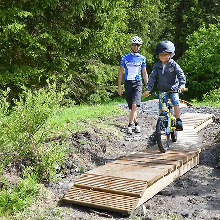 Chaleureux Pres Des Pistes Avec Parking Et Animaux Acceptes - Fr-1-505-6 *