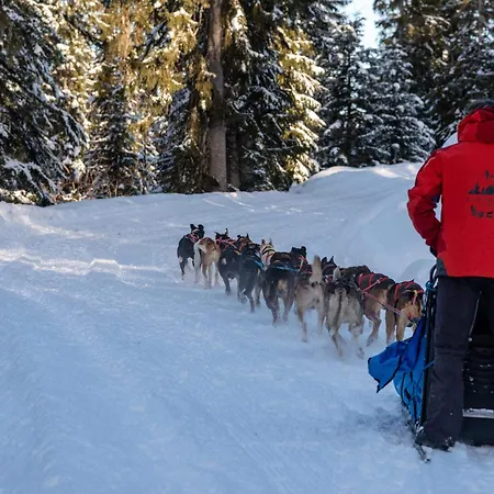 Chaleureux Pres Des Pistes Avec Parking Et Animaux Acceptes - Fr-1-505-6 Appartement *